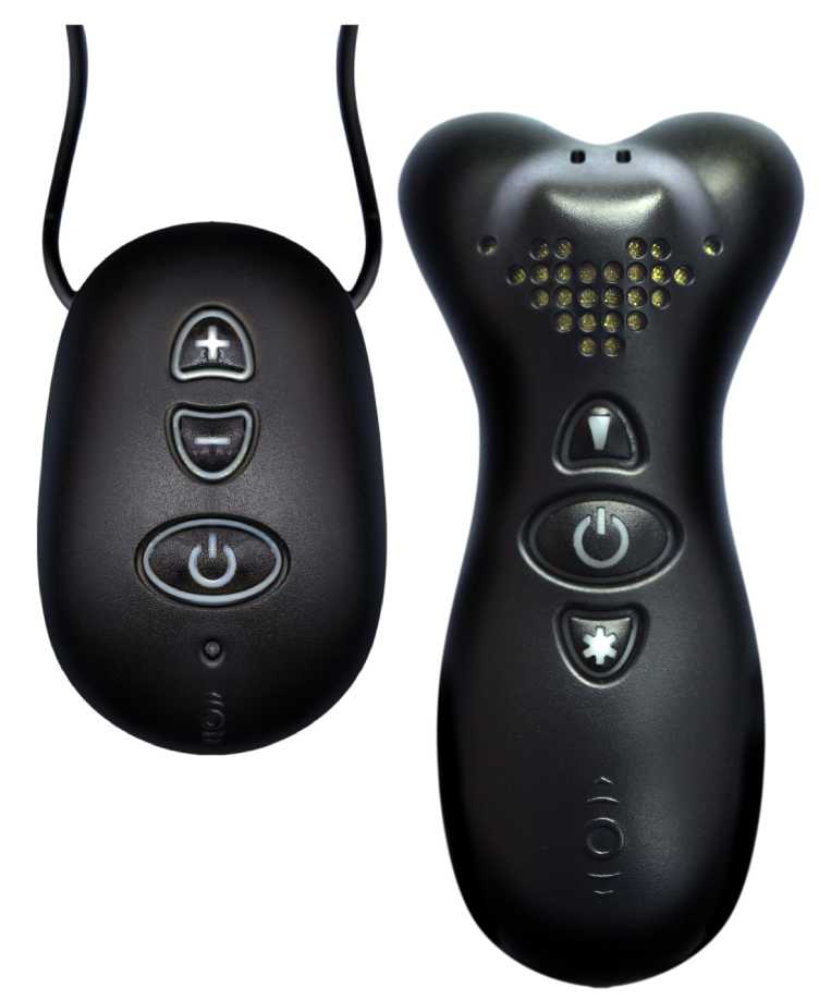 Conversor ProAudio Receiver mottaker ekstra