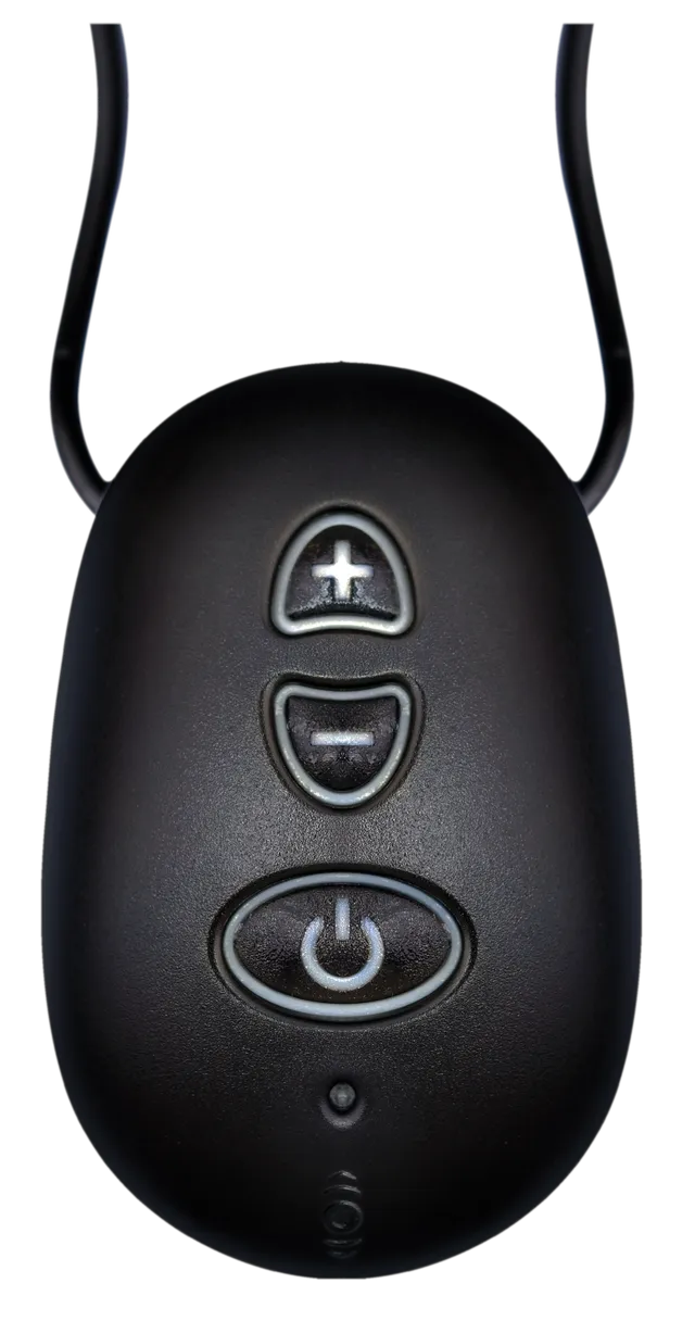 Conversor ProAudio Receiver mottaker ekstra